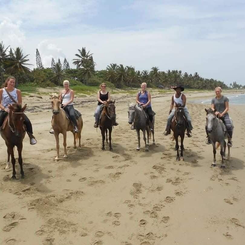 Paseo a caballo en la playa